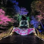 Kyoto Private Customizable Day Trip With English chauffeur - Who Is This Tour Best For?