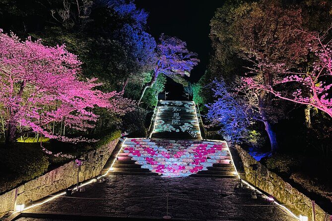 Kyoto Private Customizable Day Trip With English chauffeur - Who Is This Tour Best For?