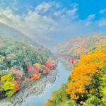 Kyoto: Private Customizable Guided tour with Luxury Vehicle - Transport and Practicalities