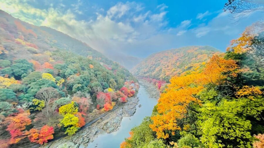 Kyoto: Private Customizable Guided tour with Luxury Vehicle - Transport and Practicalities