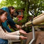 Kyoto: Private Customized Walking Tour with a Local Insider - What to Expect from the Tour