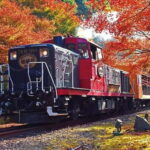 Kyoto: Sagano Romantic Train and Hozugawa River Cruise - The River Cruise: A Different Perspective