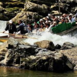 Kyoto Sagano Romantic Train in Arashiyama Bus Tour - Practical Details and Value