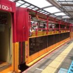 Kyoto: Sagano Scenic Railway, River Cruise, & Sake Tour - What Makes This Tour Stand Out?