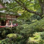 Kyoto: Scenic Day Trip to Ohara and Sanzen-in Temple - The Details That Matter