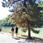 Kyoto: Serene Morning Walk in Arashiyama Bamboo Grove - What’s this tour all about?