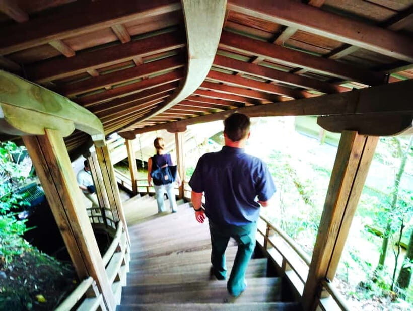 Kyoto: Serene Stroll Through Eikandos Timeless Temple Paths - Introduction: A Calm Journey into Kyoto’s Heart