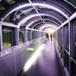 Kyoto: Station and Tower Night Tour with Light Show - Kyoto Tower: The City’s Tallest Spot at Night