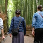 Kyoto to Arashiyama Day Trip - Private & Personalized - Who Should Consider This Tour?