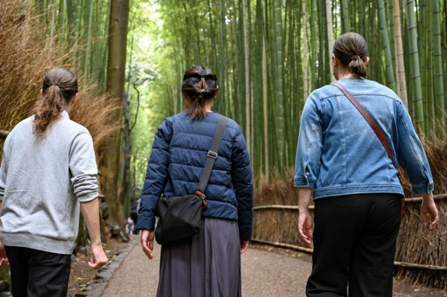 Kyoto to Arashiyama Day Trip - Private & Personalized - Who Should Consider This Tour?