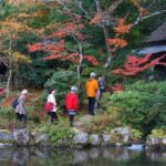 Kyoto to Nara: Private Day Trip with a Local - The Itinerary and Highlights: What You’ll Likely See and Do