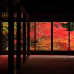 Kyoto Top Highlights Full-Day Trip from Osaka - The Value Factor