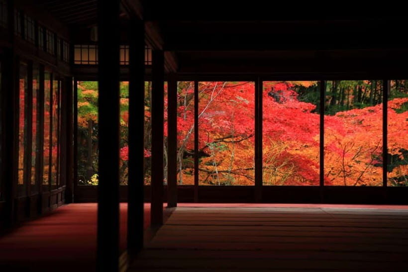 Kyoto Top Highlights Full-Day Trip from Osaka - The Value Factor