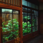 Kyoto: Udon Making in Centennial Kyomachiya - Pricing and Value