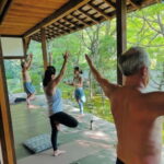 Kyoto: Zen and Yoga Experience at Myoshinji Temple - Zen and Its Five Key Elements