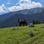 Kyrgyzstan: Pearl of the Heavenly Mountains - The Value of This Tour