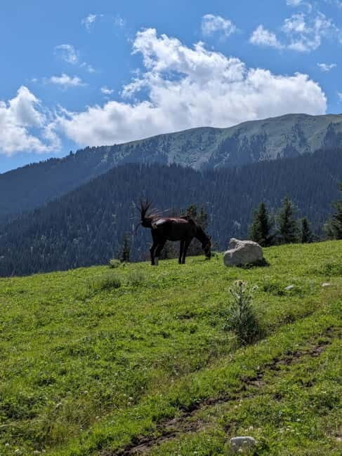 Kyrgyzstan: Pearl of the Heavenly Mountains - The Value of This Tour