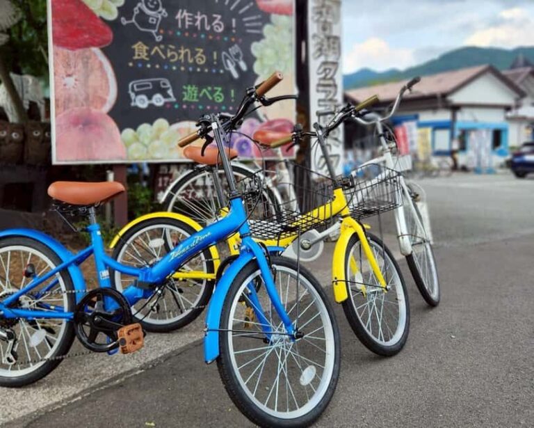 Lake Kawaguchi: 1-Day Bicycle Rental - Key Points
