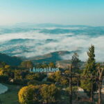 Lâm ng : Lang Biang Mountain Ticket - What You Can Expect During Your Visit
