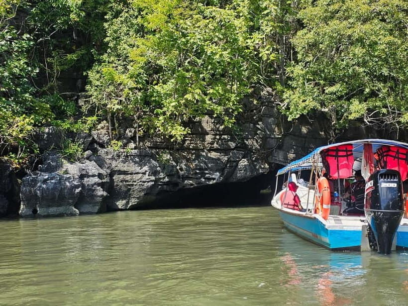 Langkawi: 3-Hour Shared Kilim Geoforest Mangrove Boat Tour - Who This Tour Is Best For