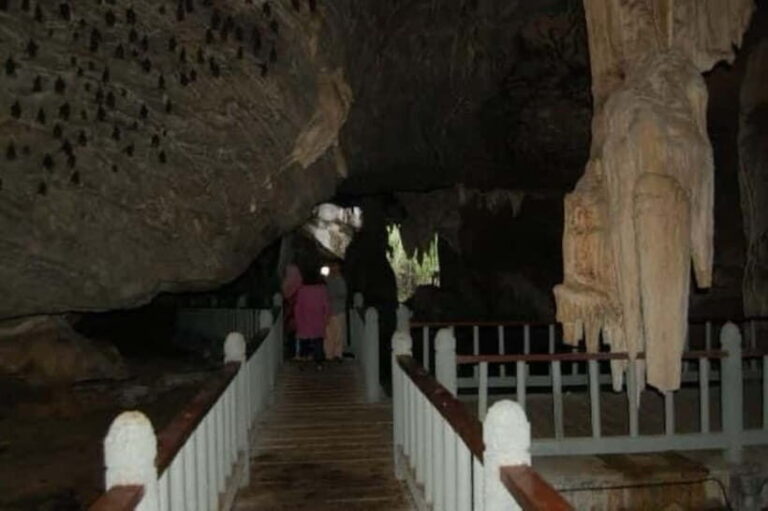 Langkawi: Boat Tour to Magic Island & Mangrove Cruise - A Full Breakdown of the Experience