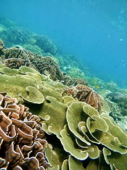 Langkawi: Floating Restaurant & Snorkeling Trip - The Itinerary Breakdown