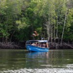 Langkawi Mangrove Boat River Cruise and Private Beach Tour - Practical Details & Tips