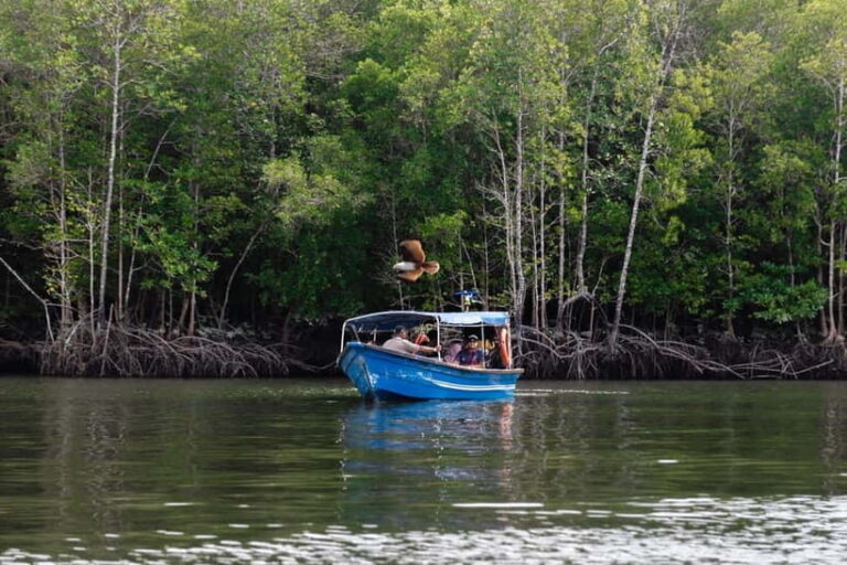 Langkawi Mangrove Boat River Cruise and Private Beach Tour - Practical Details & Tips
