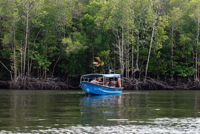 Langkawi Mangrove Boat River Cruise and Private Beach Tour - Practical Details & Tips