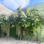 Local island(Himmafushi) tour from Male'/ Hulhumale Maldives - What Makes the Himmafushi Island Tour Stand Out?