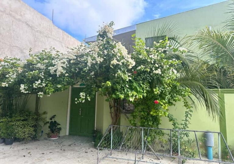 Local island(Himmafushi) tour from Male'/ Hulhumale Maldives - What Makes the Himmafushi Island Tour Stand Out?