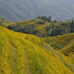 Longji Rice Terraces Hiking Tour Full Day Adventure - Practical Tips for the Tour