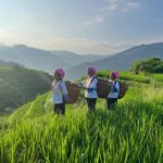 Longji Terraced Fields: Hiking to explore Ethnic Villages - An In-Depth Look at the Longji Terraced Fields Hike
