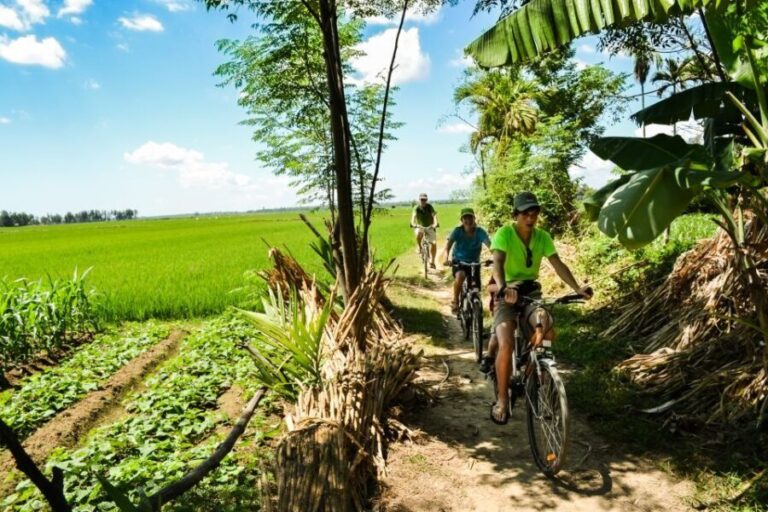 Lost Civilization - My Son Temples Bike Tour in Hoi An - Why Choose This Tour?