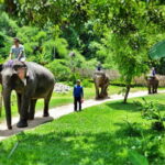 Luang Prabang: 4 Day 3 Nights Guide Tour - Detailed Breakdown of the Itinerary