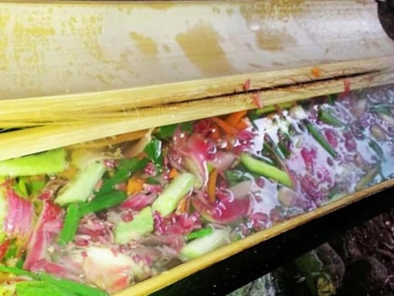 Luang Prabang: Bamboo Forest Cooking-class & Farm Visit - The Value of the Experience