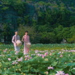 Luxury Limousine Tour: Hoa Lu, Trang An/Tam Coc & Mua Cave - A Closer Look at the Itinerary