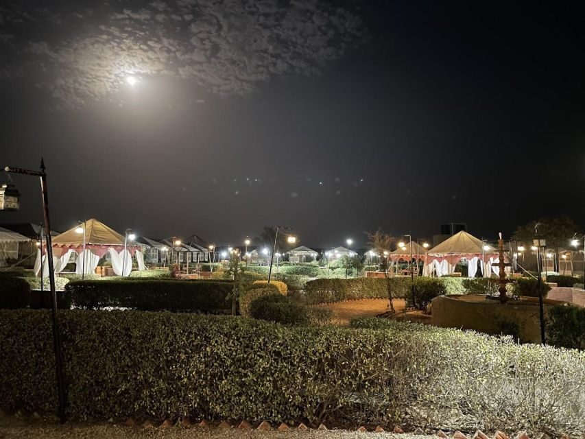 Luxury tent, dinner, breakfast, camel ride in thar desert - Why This Tour Is a Great Choice