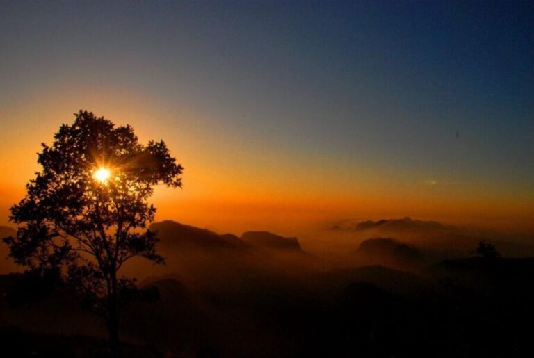 Madhya Pradesh: Satpura National Park Guided Jeep Safari - What Sets This Tour Apart