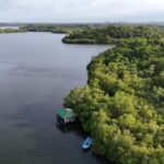 Madu River Boat Cruise & Cinnamon Garden All Inclusive Tour - An In-Depth Look at the Tour