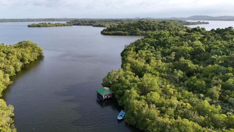 Madu River Boat Cruise & Cinnamon Garden All Inclusive Tour - An In-Depth Look at the Tour