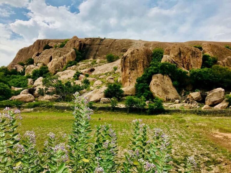 Madurai 2-Day Guided Tour with Meenakshi Temple Darshan - A Detailed Look at the 2-Day Madurai Tour