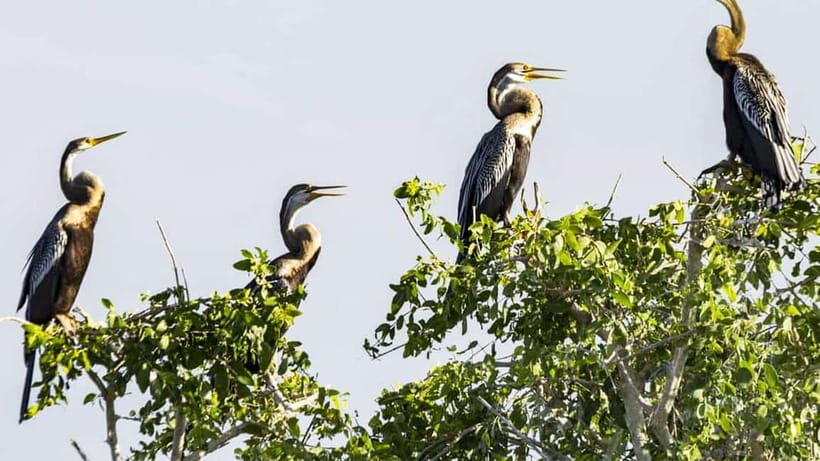 Maduru Oya National Park Private Safari - Sightings and Animal Behavior
