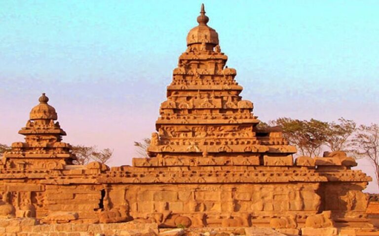 Mahabalipuram and Kanchipuram Private Caves & Temples Tour - Who Should Take This Tour?