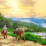 Mai Chau Valley 2-Day, 1-Night Adventure from Hanoi - Day 2 – From Mai Chau to Remote Villages and Back to Hanoi