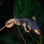 Mai Chau Valley Cycling Hiking To Chieu Cave Tour From Hanoi - Exploring the Itinerary: What You’ll Actually Do