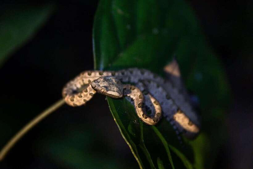 Mai Chau Valley Cycling Hiking To Chieu Cave Tour From Hanoi - Exploring the Itinerary: What You’ll Actually Do