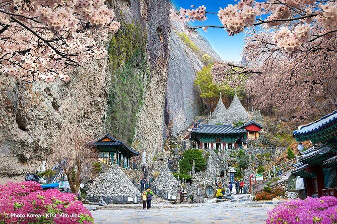 Maisan Cherry Blossom and Jeonju Hanok Village - Insights from Reviews