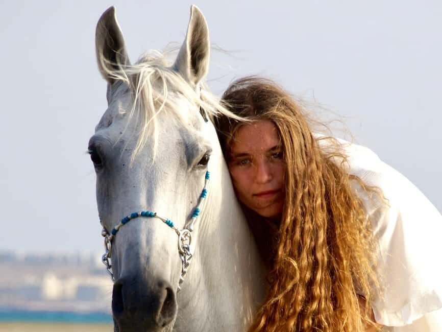 Makadi Bay: Horse Riding in Desert & Sea w Guide + Transfers - A Detailed Look at the Makadi Bay Horse Riding Experience