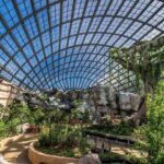 Malaysia: Discover Nature's Wonders with Entopia Entry Ticket - The Experience at Entopia: What You Can Expect